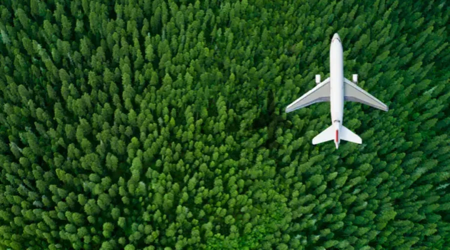 Aviation and the Future of Sustainable Transport