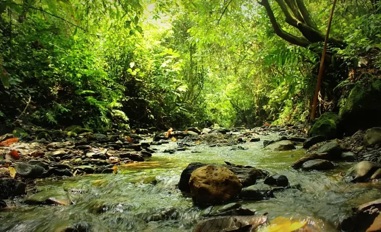 Mir sunan - নিজের কাজ কর্তৃক, সিসি বাই-এসএ ৪.০, https://commons.wikimedia.org/w/index.php?curid=58921738